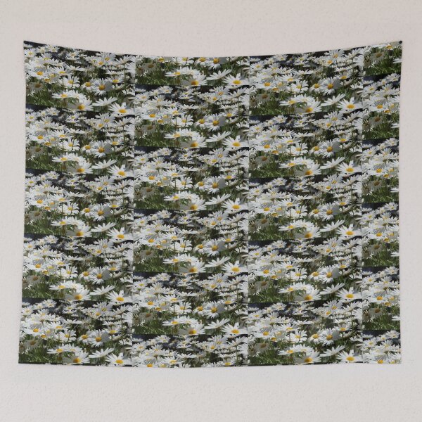 Item preview, Marguerite Daisies in the garden at Magpie Springs by Adelaide artist Avril Thomas designed and sold by MagpieSprings.