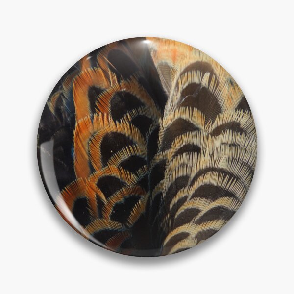 Item preview, Adelaide Rosella feathers at Magpie Springs by Adelaide Artist Avril Thomas designed and sold by MagpieSprings.