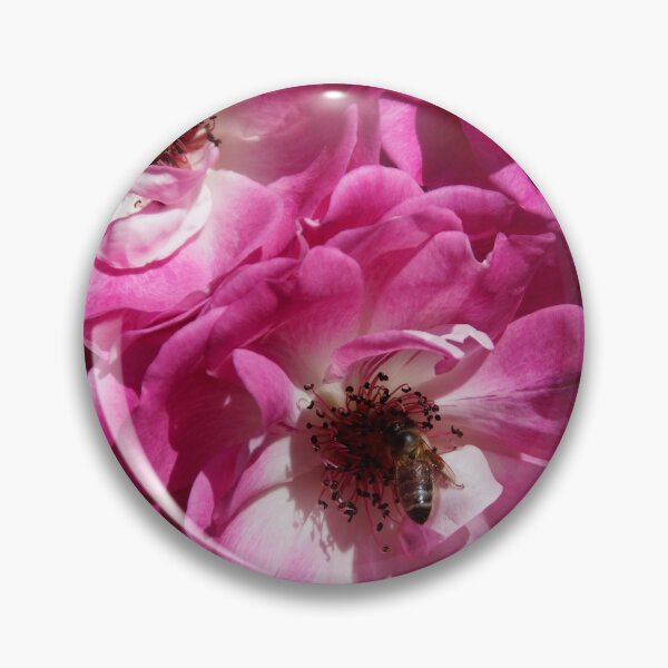 Item preview, Pink Rose and bee at Magpie Springs by Adelaide Artist Avril Thomas designed and sold by MagpieSprings.
