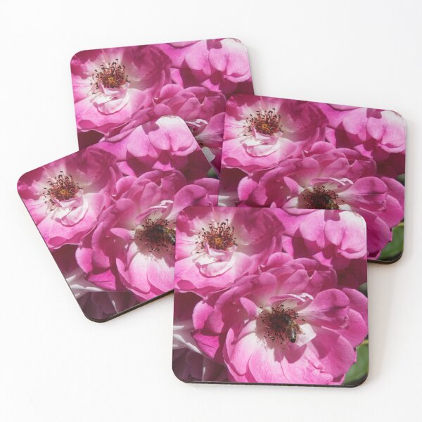 Item preview, Pink Rose and bee at Magpie Springs by Adelaide Artist Avril Thomas designed and sold by MagpieSprings.