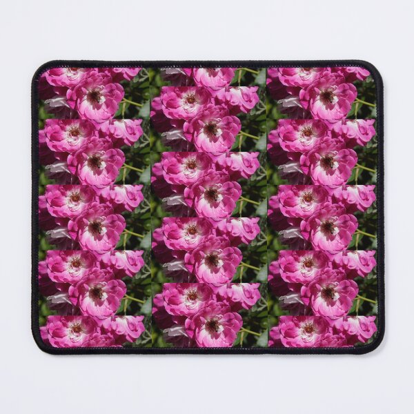 Item preview, Pink Rose and bee at Magpie Springs by Adelaide Artist Avril Thomas designed and sold by MagpieSprings.