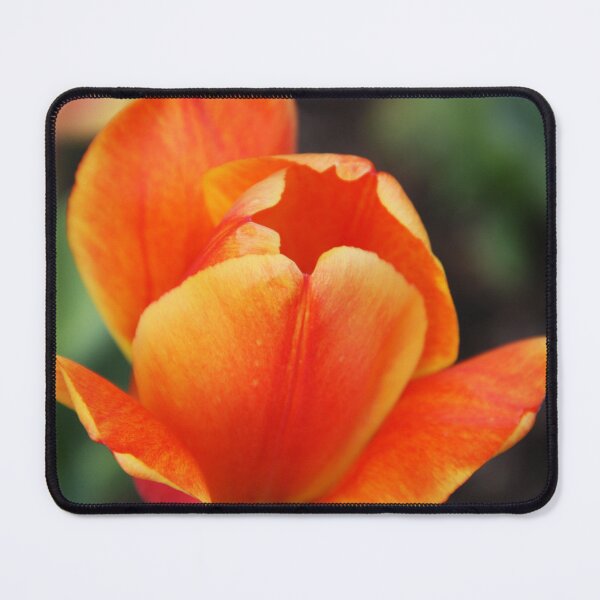 Item preview, Tulip - Orange designed and sold by agnessa38.