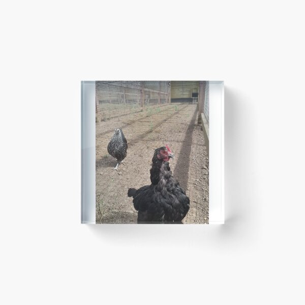 Item preview, Chicken designed and sold by Jordyn-and-Jay.