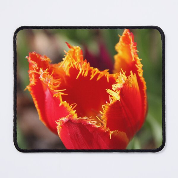 Item preview, Tulip - Red with Ruffles designed and sold by agnessa38.