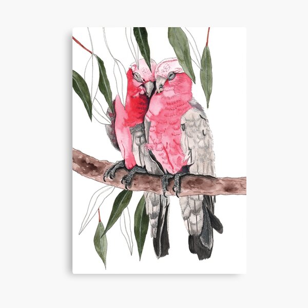 Item preview, Galahs Pair Pink Australian Birds Eucalyptus designed and sold by blueidesign.
