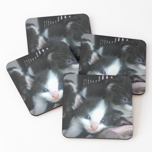 Item preview, Cute kitten designed and sold by Jordyn-and-Jay.