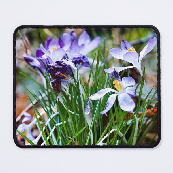 Item preview, Spring Crocuses designed and sold by Betsy Phillips.