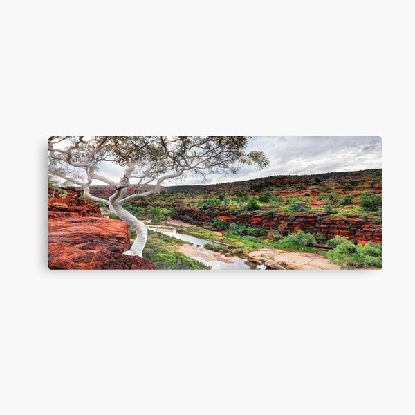 Item preview, The Finke River - Palm Valley Northern Territory Australia designed and sold by Adam Gormley.