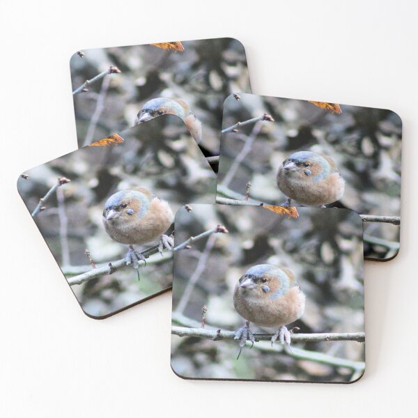 Item preview, chaffinch designed and sold by KathleenDawson.