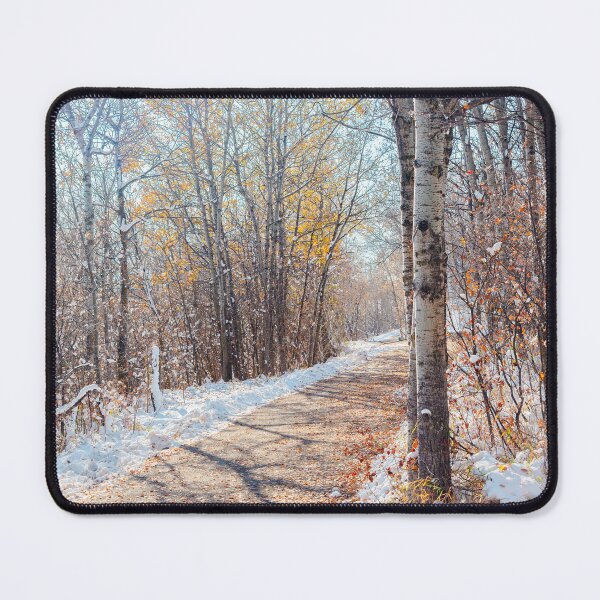 Item preview, Pathway Through Winter Aspen Forest designed and sold by Amy Mitchell.