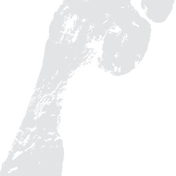 Artwork thumbnail, TriBu.City FOOTPRINT by TriBuCity