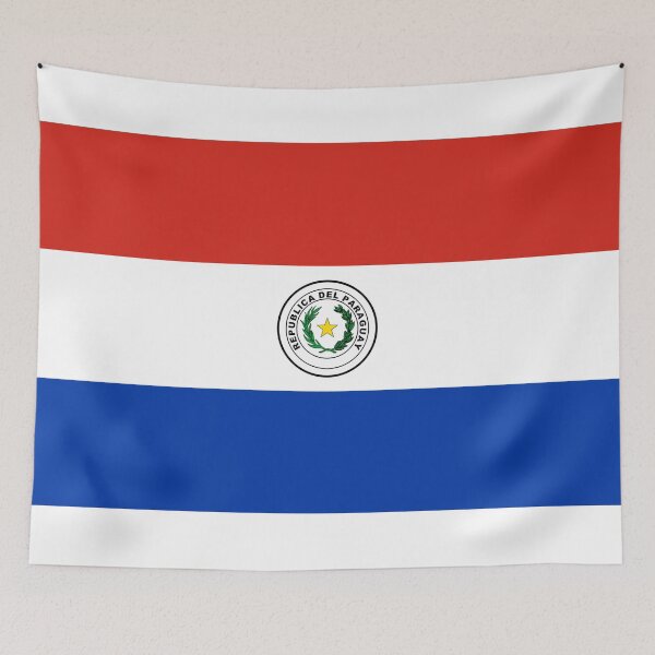 Item preview, Republic del Paraguay Flag designed and sold by TinaJostDesigns.