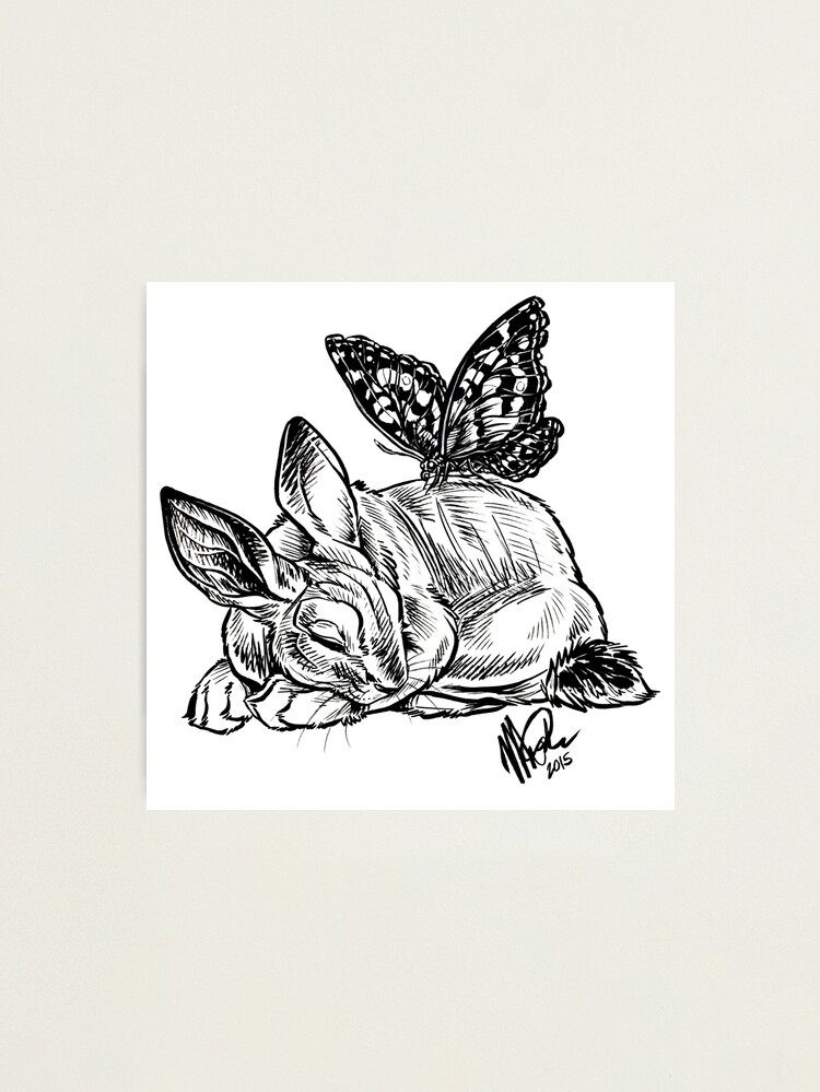 Alternate view of Butterfly's Rest Photographic Print