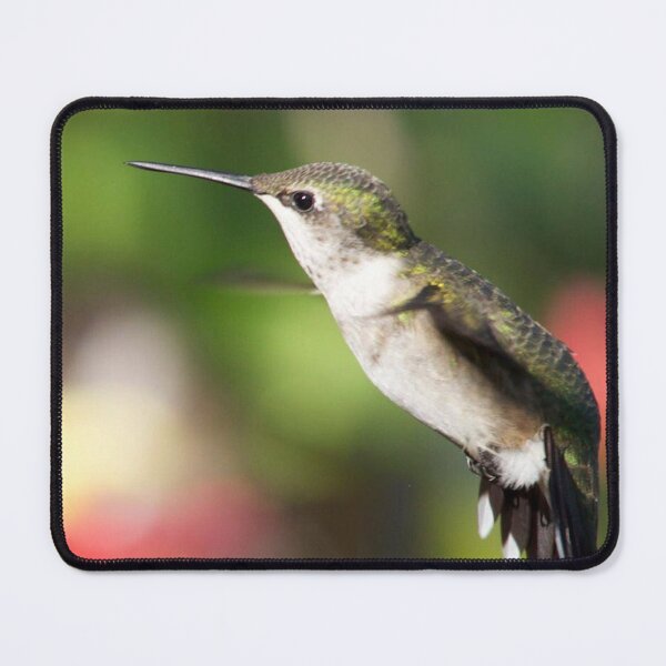 Item preview, The ruby-throated hummingbird (Archilochus colubris) designed and sold by wenzler.