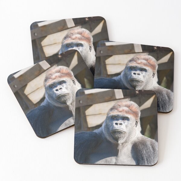 Item preview, Kidogo the Silverback Strikes a Powerful Pose designed and sold by rawshutterbug.