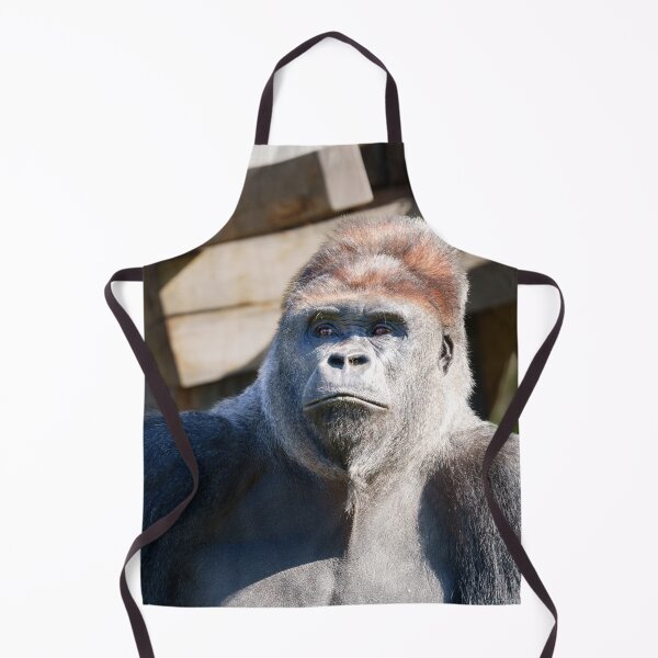 Item preview, Kidogo the Silverback Strikes a Powerful Pose designed and sold by rawshutterbug.