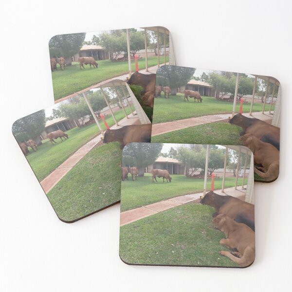 Item preview, the way of the cow designed and sold by vance.