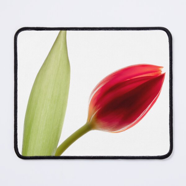 Item preview, Red Tulip designed and sold by David Bowman.
