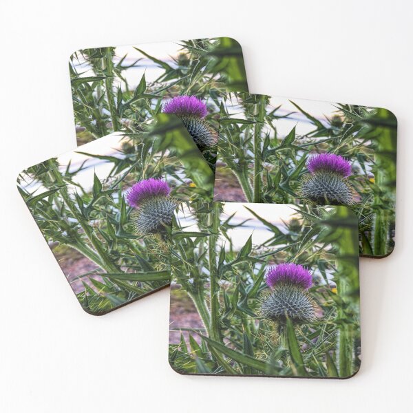 Item preview, Scottish Thistle  designed and sold by DZ1GN.