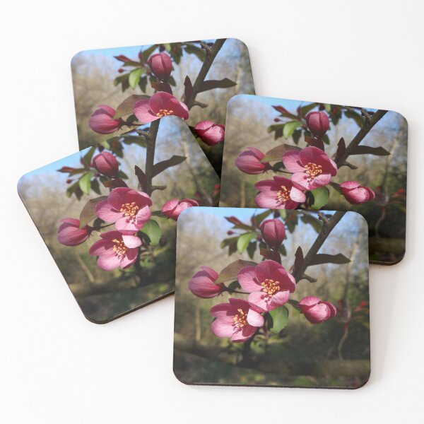 Item preview, Crab apple flowers designed and sold by McFleur's Lens.