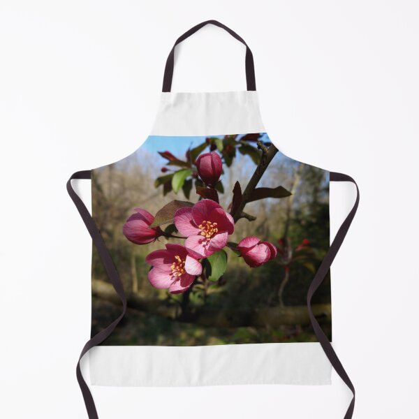 Item preview, Crab apple flowers designed and sold by McFleur's Lens.
