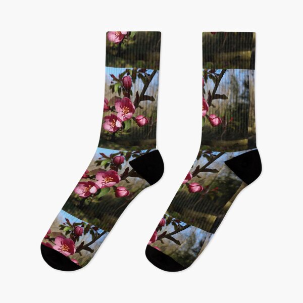 Item preview, Crab apple flowers designed and sold by McFleur's Lens.