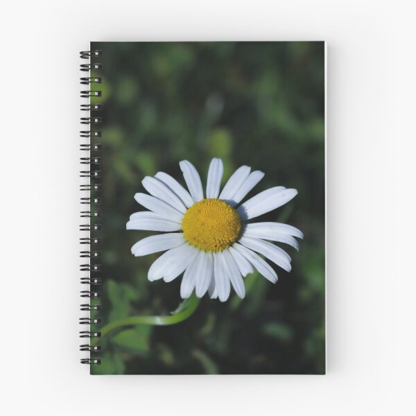 Item preview, white daisy designed and sold by deniserostagno.