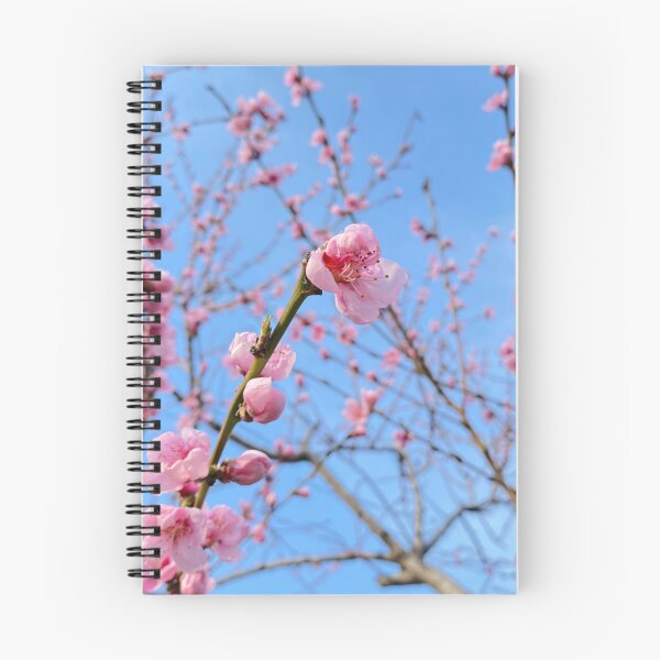 Item preview, cherry blossom designed and sold by deniserostagno.