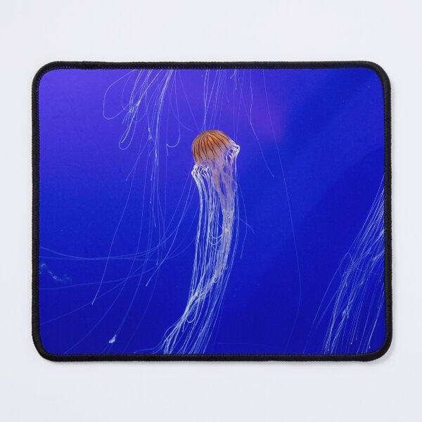Item preview, Ethereal Pacific Sea Nettles designed and sold by RichScalzo.