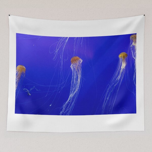 Item preview, Ethereal Pacific Sea Nettles designed and sold by RichScalzo.
