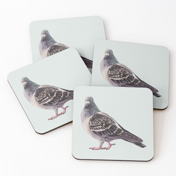 Artikelvorschau, Gemälde „Rock Pigeon 4“ (ohne Hintergrund) entworfen und verkauft von Emily Bickell.