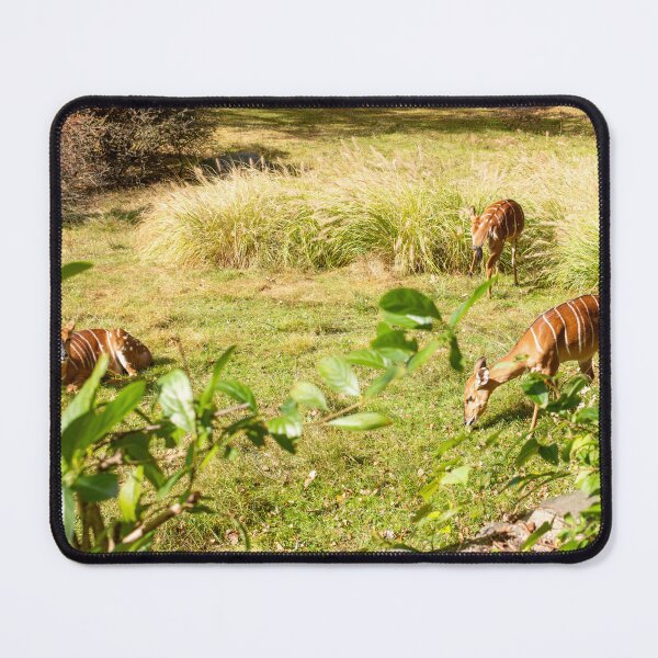 Item preview, Sitatunga Group designed and sold by RichScalzo.