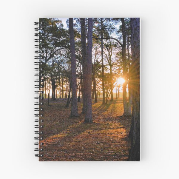 Artikelvorschau, Sunrise At Warbird Park entworfen und verkauft von What I See by Dawne.