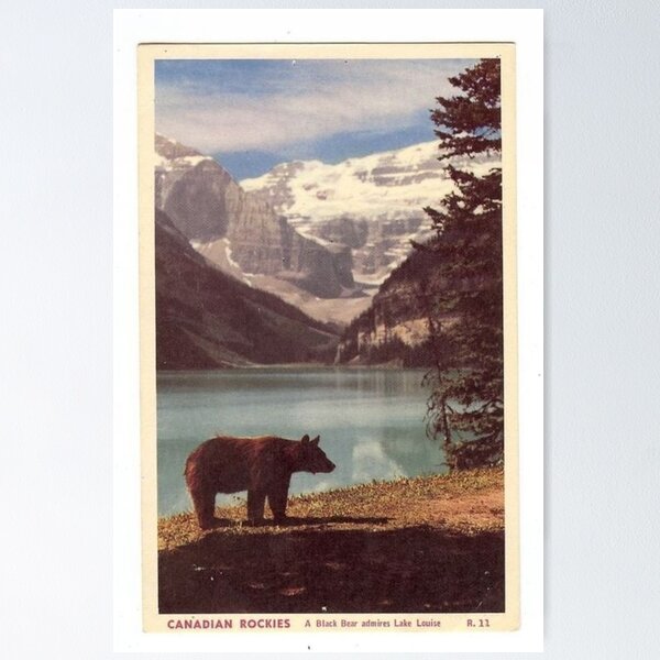 Item preview, vintage national park designed and sold by soulsurferart.