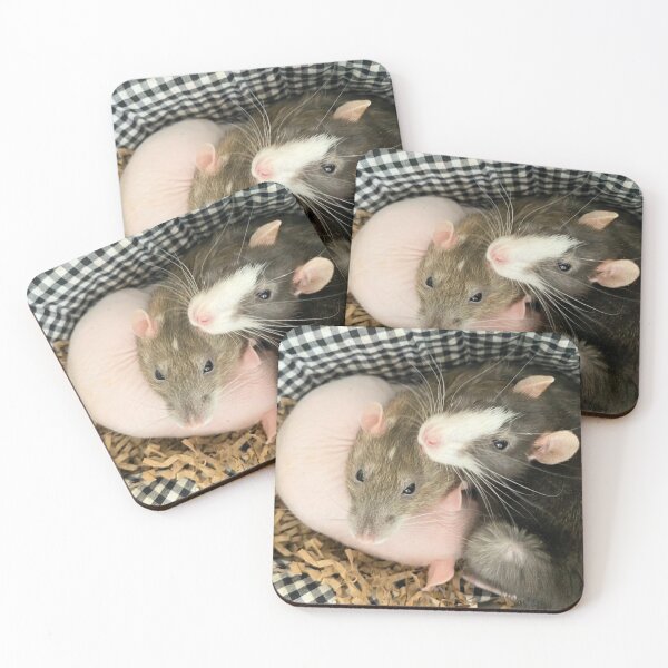 Item preview, The Girls - Asteria, Athena, Aphrodite designed and sold by PTRCK TRNR.