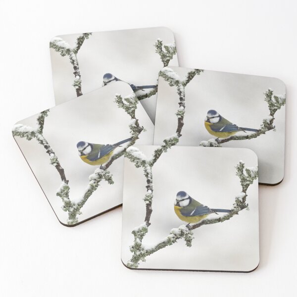 Item preview, Blue tit b ranch 2024 designed and sold by Jouko Lehto Photography.