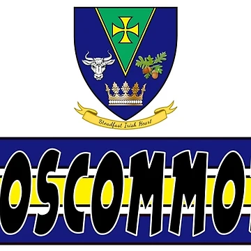 Artwork thumbnail, COUNTY ROSCOMMON by CathalDevlin