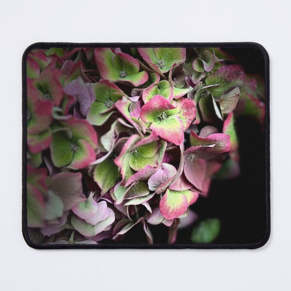 Item preview, Classic Hydrangea designed and sold by CUBDESIGNING.