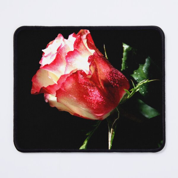 Item preview, Birthday gift designed and sold by agnessa38.