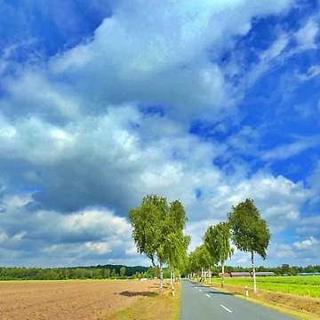 Artwork thumbnail, Pure land by RudeKitchen