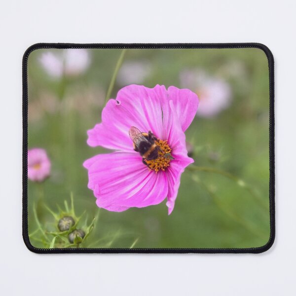 Item preview, Cosmos for the Bees designed and sold by CUBDESIGNING.