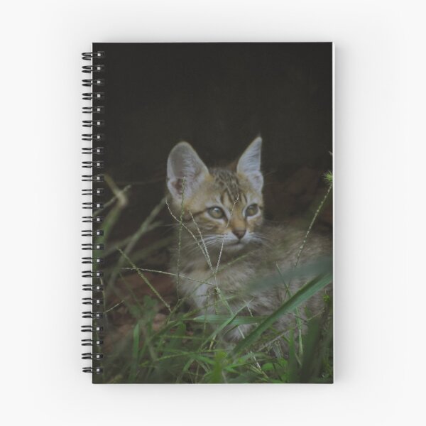 Item preview, cat designed and sold by deniserostagno.
