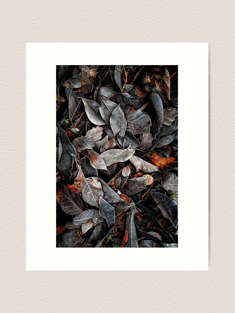 Thumbnail 1 of 3, Art Print, TOUCH OF FROST designed and sold by Coigach.