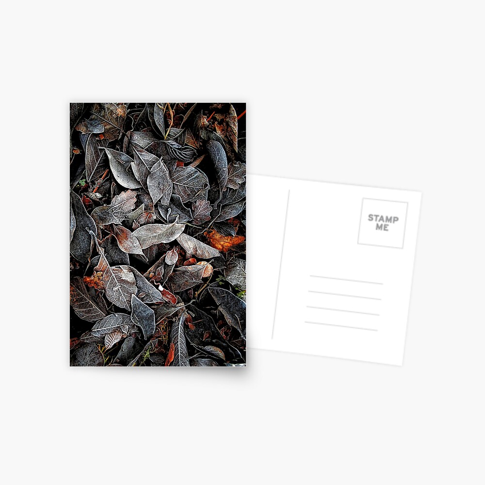 Item preview, Postcard designed and sold by Coigach.