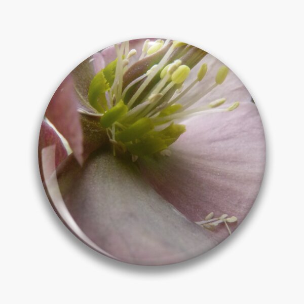 Artikelvorschau, Petals and Poetry entworfen und verkauft von Benedikt Amrhein.