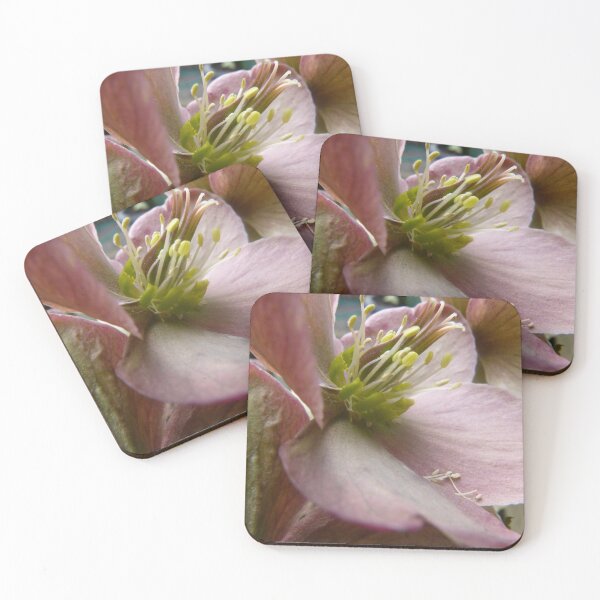 Item preview, Petals and Poetry designed and sold by Benedikt Amrhein.
