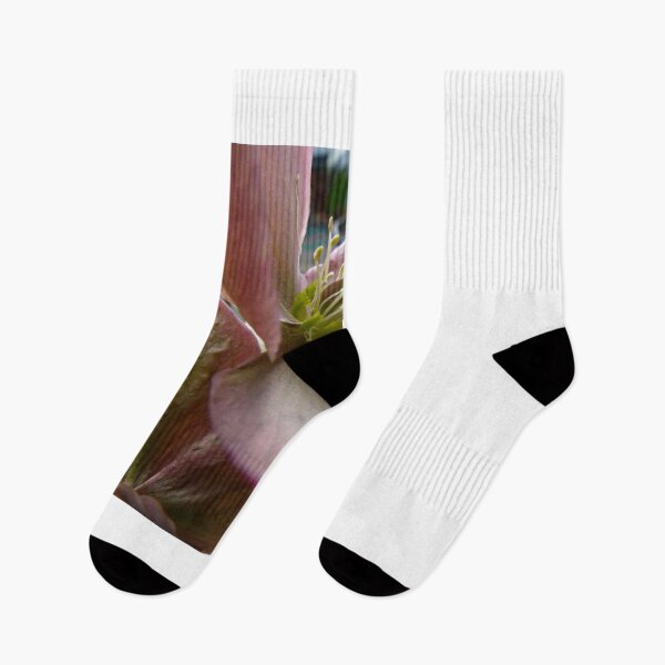 Artikelvorschau, Petals and Poetry entworfen und verkauft von Benedikt Amrhein.
