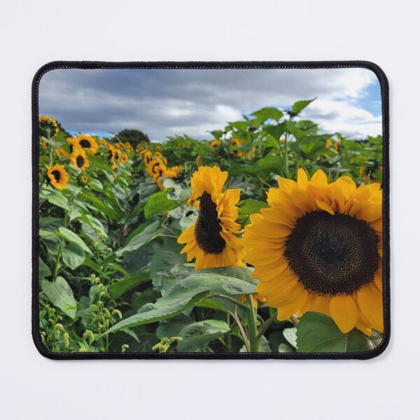 Item preview, Sunflower field in English summer designed and sold by OhNoNotAgain42.
