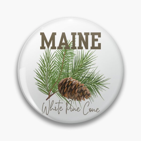 Item preview, Maine White Pine Cone State Flower Classic T-shirt Sticker designed and sold by ThinkNature!.