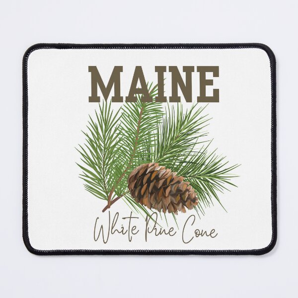 Item preview, Maine White Pine Cone State Flower Classic T-shirt Sticker designed and sold by ThinkNature!.